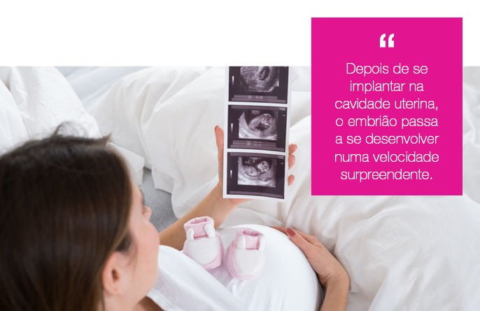 regenesis-site-mulher-e-gestacao-desenvolvimento-do-bebe