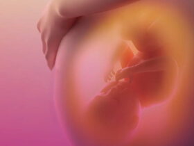 regenesis-site-mulher-e-gestacao-bebe-dentro-da-barriga