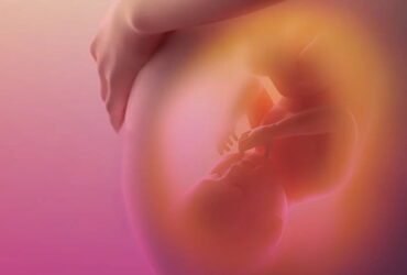 regenesis-site-mulher-e-gestacao-bebe-dentro-da-barriga