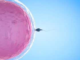 regenesis-site-mulher-e-gestacao-fertilidade-feminina