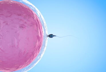 regenesis-site-mulher-e-gestacao-fertilidade-feminina