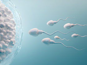 regenesis-mulher-e-gestacao-infertilidade-masculina