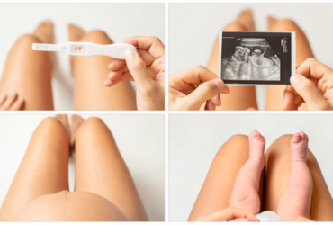 regenesis-mulher-e-gestacao-semanas-e-meses-de-gestacao