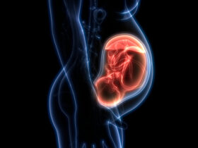 regenesis-mulher-e-gestacao-placenta
