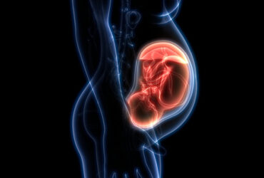 regenesis-mulher-e-gestacao-placenta