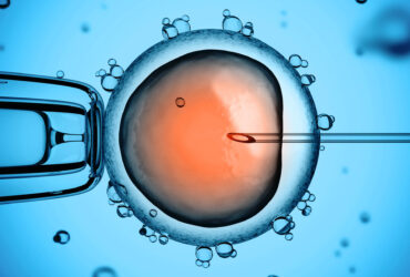 regenesis-mulher-e-gestacao-inseminacap-artificial