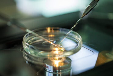 regenesis-mulher-e-gestacao-fertilizacao-in-vitro2