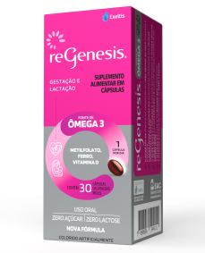 mockup-regenesis-2025 mockup-regenesis-2025